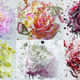 Illustration for article titled Flowers Shatter Like Glass Thanks to Liquid Nitrogen and an Air Gun